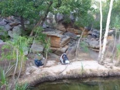 ALPS Mountaineering Lynx 1 -Alps 1407 Kakadu Cape York 114