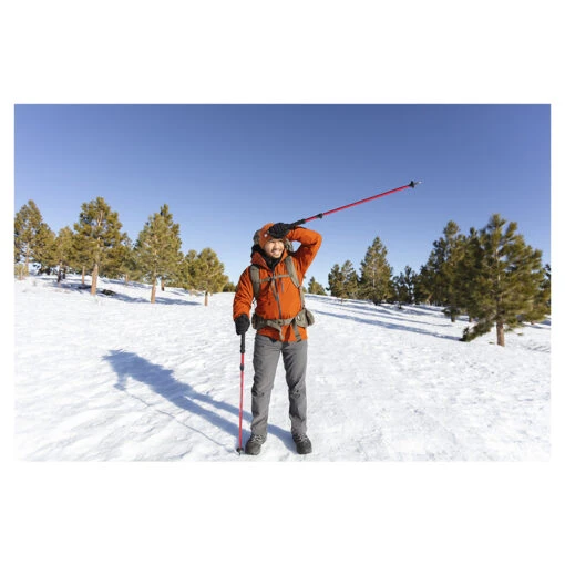 Alps Mountaineering Conquest Trekking Pole - Image 10