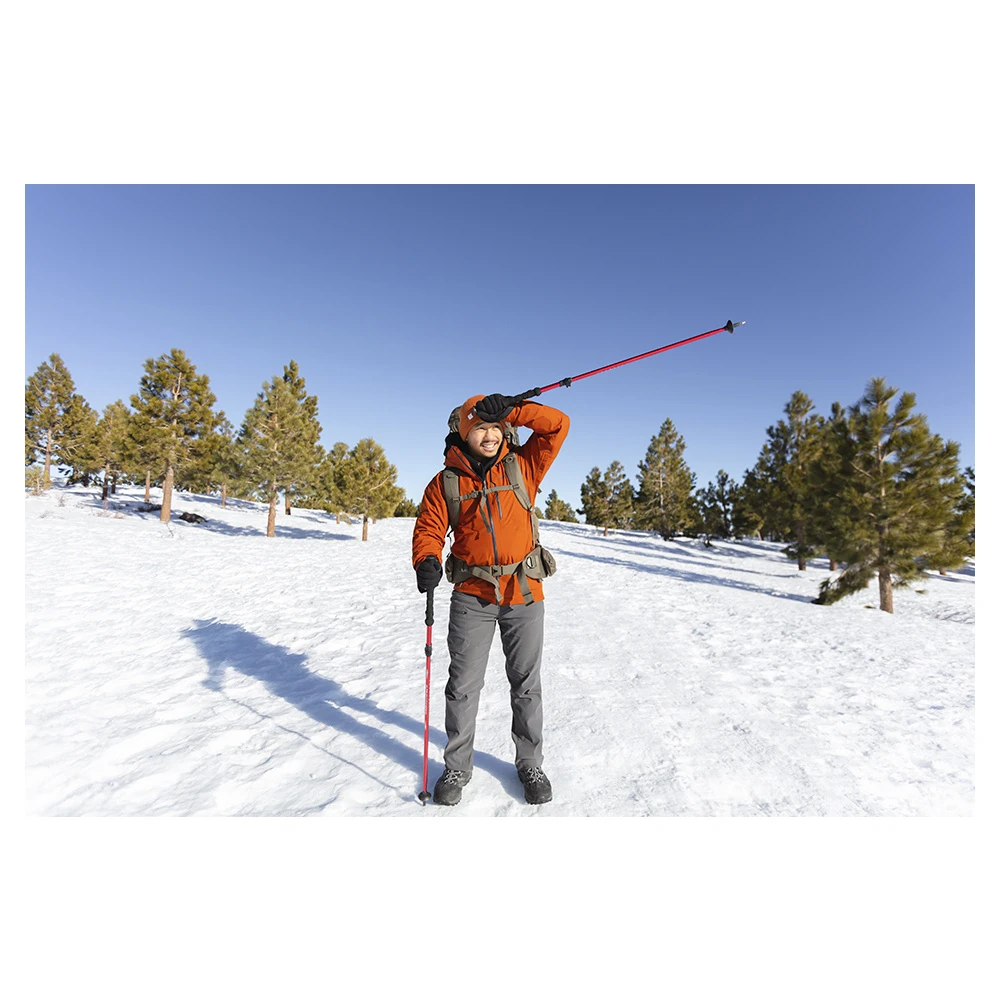 Alps Mountaineering Conquest Trekking Pole 12 Alps Mountaineering Conquest Trekking Pole - Image 10