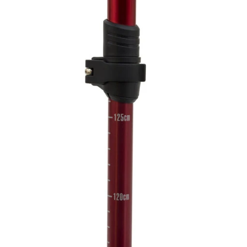 Alps Mountaineering Conquest Trekking Pole - Image 4