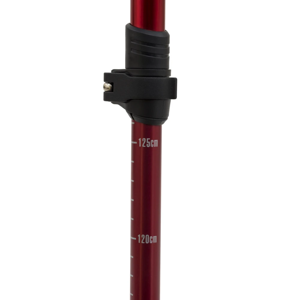 Alps Mountaineering Conquest Trekking Pole 6 Alps Mountaineering Conquest Trekking Pole - Image 4