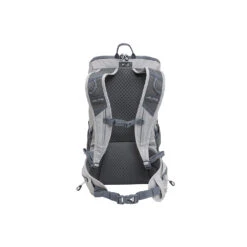 Alps Mountaineering Canyon 20 -Alps canyon 20 gray 2020 back