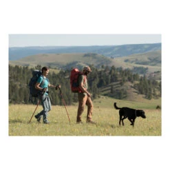 Alps Mountaineering Conquest Trekking Pole 18 Alps Mountaineering Conquest Trekking Pole -Alps conquest trekking poles B0784692DC PT06