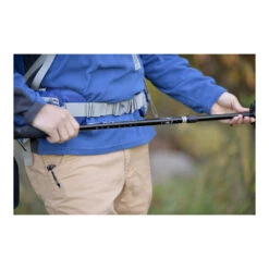 Alps Mountaineering Explorer Trekking Pole -Alps explorer trekking poles B00AU6LCPG PT02 1