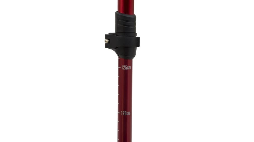 ALPS Mountaineering Conquest Trekking Pole 5 ALPS Mountaineering Conquest Trekking Pole - Image 3