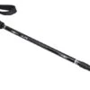 ALPS Mountaineering Explorer Trekking Pole -Alps opplanet alps mountaineering explorer trekking pole main 1
